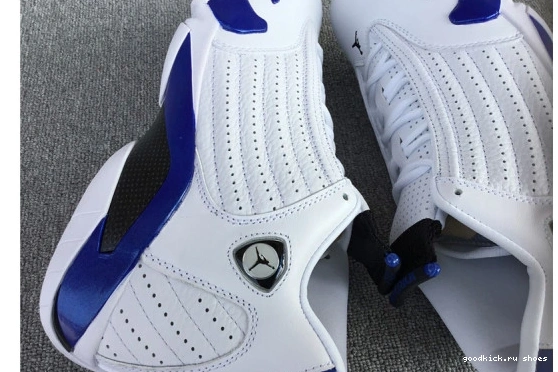 Air 14’Hyper AJ-14 Jordan Royal’ 0309